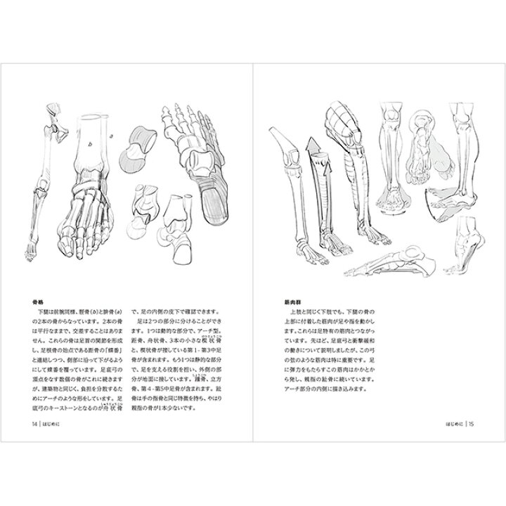 楽天市場 手と足を描く モルフォ人体デッサン ミニシリーズ コミック画材通販 Tools楽天shop