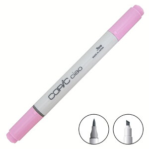 �R�s�b�N�`���I (ciao) V12