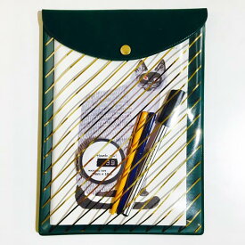 ★30%OFF★ 限定PVCフラットケース A5 ストライプグリーン