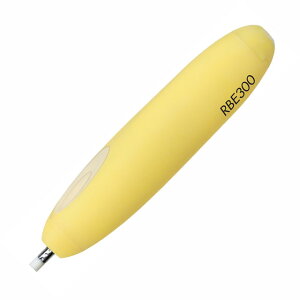 rbg dS RBE-300