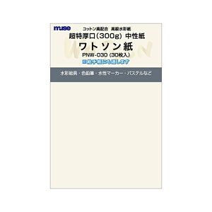 ~[Y |XgJ[hpbN g\  PNW-030