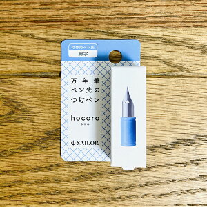 Z[[NM hocoro t֗py ׎