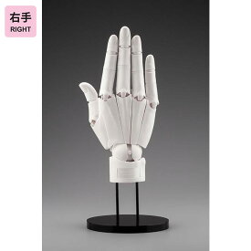 【在庫あり!!】コトブキヤ ARTIST SUPPORT ITEM ハンドモデル/R -WHITE-（右手）