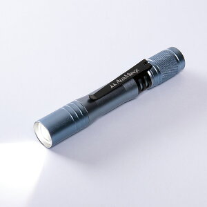 y yCg / MR-95 F LED z  Ӓ `FV[J[tB^[ At@[~[W