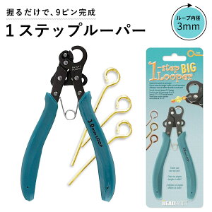 Xebv C[[p[ BIG ( 3mm [v ) @1-Xebv [p[ r[Y ANZT[ H  Ntg ւ [v ACs 9s Xebv[p[ 1STEP LOOPER PLLOOP2 