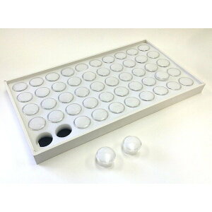 [XP[XgC () @ WG[ [ RNV fBXvC g[