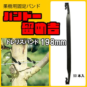 oh[ߋg y gXoh Tree Tie 198mm 50{z ʎŒoh @}   ێ T|[g gX C[ ^C U A[ Œ _Ɨp g Nbv ^Cbv ێ 