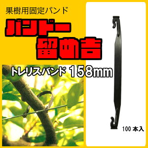 oh[ߋg y gXoh Fruits Tree Tie 158mm 100{z ʎŒoh @}   ێ T|[g gX C[ ^C U A[ Œ _Ɨp g Nbv ^Cbv ێ 