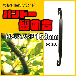 oh[ߋg y gXoh Fruits Tree Tie 158mm e 500{z ʎŒoh @}   ێ T|[g gX C[ ^C U A[ Œ _Ɨp g Nbv ^Cbv 