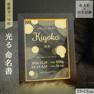 yyVX[p[SALE z  I[_[  t[ Ԃ  䎆   Cg X^h LED CeA oL^ A O  D  AN X^h 