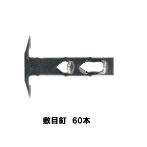 WAKAI�@�~�ړB�@T�^�@115V�@60�{���@�o�����[�p�b�N�@���Y��