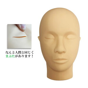 ACbV@g[jOfGNXe܂J[Ȃǂ̗KpStFCXII܂ރ^Cv甼ivIɌJԂgpłō̗KptFCXłB
