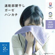 今治タオルブランド 速乾部屋干しハンドタオル選べる2枚 メーカー直送 綿100％ コンパクト 薄手 肌に優し…