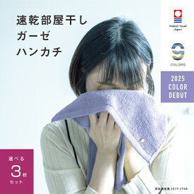 【速乾部屋干し】3枚まとめ買い 今治タオル ハンドタオル 肌に優しい ハンカチ 大判 ガーゼ 速乾 部屋干し 綿100% 薄手 速乾タオル 吸水 ブランド 女性 男性 大人 赤ちゃん 子供 保育園 幼稚園 ギフト ベビー 軽い 新生活 挨拶 夜洗濯 買いまわり メーカー直送 限定色