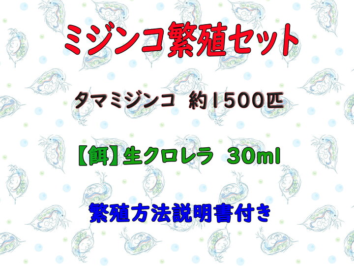 楽天市場 クール便 ミジンコ繁殖セット タマミジンコ 約1500匹 約0 5g スーパー生クロレラ 30ml 繁殖方法説明書付き ゴールドウッド 楽天市場 クール便 ミジンコ繁殖セット タマミジンコ 約1500匹 約0 5g スーパー生クロレラ 30ml 繁殖方法説明書付き ゴールドウッド