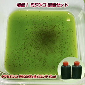 【ミジンコ繁殖セット】タマミジンコ 1g(約3,000匹)+生クロレラ 60ml+繁殖方法説明書付き【クール宅急便】