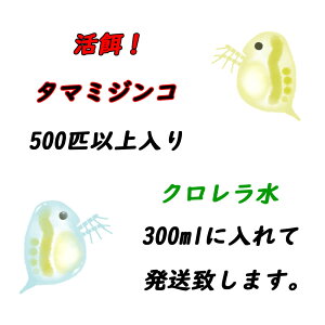 エサ タマミジンコ 熱帯魚の人気商品 通販 価格比較 価格 Com