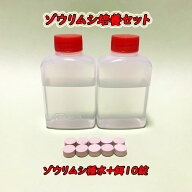 ゾウリムシ培養セット 【ゾウリムシ種水 30ml×2本+ゾウリムシの餌 10錠+培養方法説明書】のセットです。…