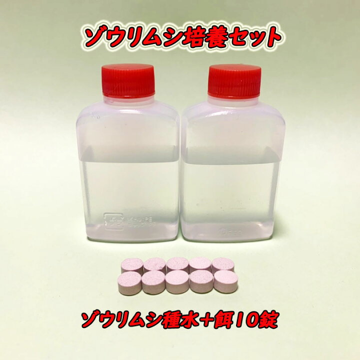 楽天市場 ゾウリムシ培養セット ゾウリムシ種水 30ml 2本 ゾウリムシの餌 10錠 培養方法説明書 のセットです メダカの稚魚 針子に ゴールドウッド
