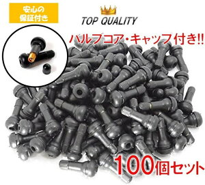 yS̕ۏؕtz TR413 GAou 100 Zbg ^C Lbv ou RAt S `[uX  C  C