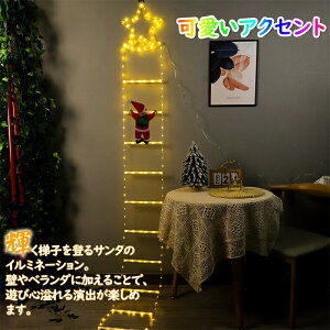 �y���I�m��1/2�I�ő�100%�|�C���g�o�b�N�z���͋C���X �T���^�t���z�C���~�l�[�V���� �T���^ �N���X�}�X �\�[���[ �C���~�l�[�V���� ���O ���� �\�[���[���C�g 8��ރ��[�h �h���N���X�}�X ��