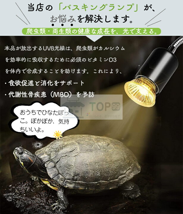 楽天市場】【1年保証！3つ電球付き25W+50W+75W！新着品タイマー機能 