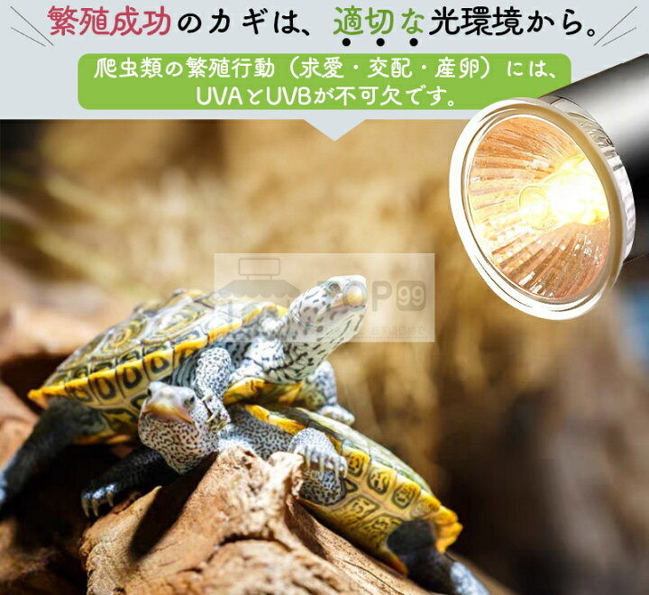 楽天市場】【1年保証！3つ電球付き25W+50W+75W！新着品タイマー機能 