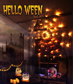 【超激安！在庫限り！大セール！クーポンで2,448円】クモライト 超人気 ハロウィン飾りLEDライト イルミネーション クモ 蜘蛛の巣 飾り LEDライト ハロウィン LEDストリングライト 吊り飾り 装飾 ハロウィーン 電池給電式 玄関 屋外 飾り付け ライト 雰囲気造り 2色