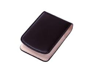 �y�A�E�g���b�g�i�zCASIO �J�V�I�@�J�����P�[�X�@ESC-110BK �u���b�N EXILIM�iEX-S12�j�p