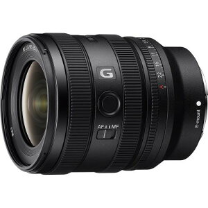 yViz\j[ SONY FE 16-25mm F2.8 G [SEL1625G]