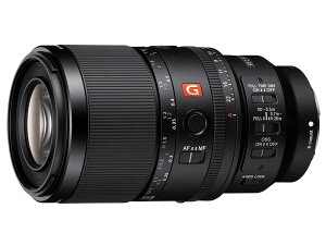 yViz\j[ SONY FE 100mm F2.8 Macro GM OSS [SEL100M28GM] itTCYΉ E}Egj