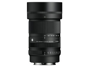 �y�V�i�z�V�O�} SIGMA 50-120mm F2.8 DC OS Contemporary [SONY E�}�E���g(�\�j�[)]APS-C��p