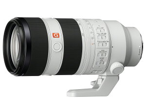 yViz\j[ SONY FE 70-200mm F2.8 GM OSS II [SEL70200GM2] itTCYΉ E}Egj