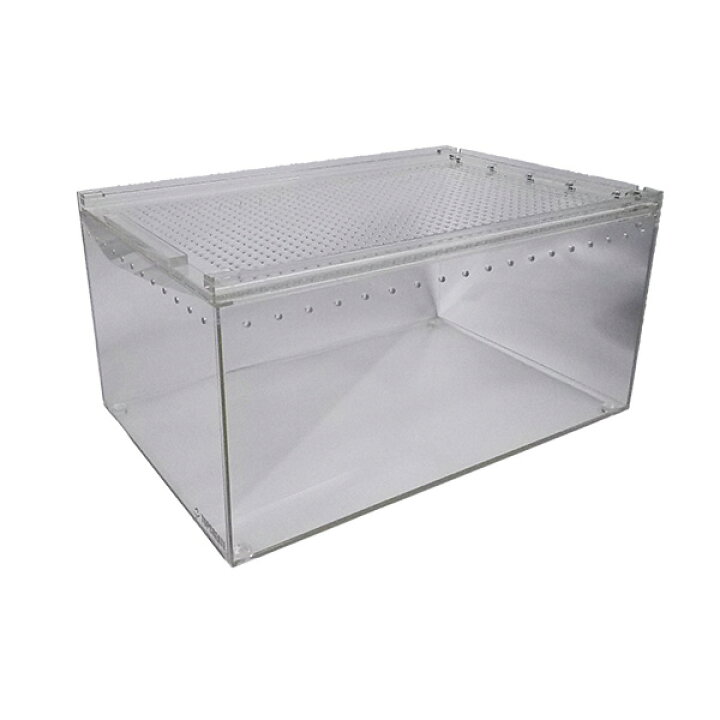 楽天市場 予約販売 8月8日以降入荷予定 アクリルケージ S クリア Top Ac S2 Topcreate トップクリエイト 爬虫類 両生類 全面 アクリル 格安 30 15サイズ 爬虫類用品店 トップクリエイト