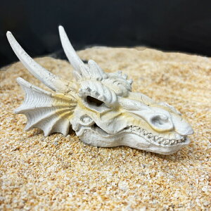 マテリアルドラゴン 爬虫類 熱帯魚 シェルター バルク品 頭蓋骨タイガー