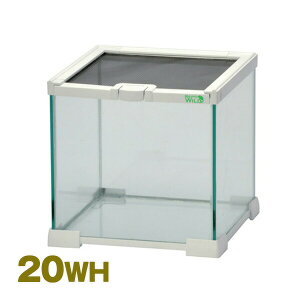 OX][ 20WH E23 SANKO(OW/TR[) ঒   IJhJ KXP[X 21×21×20cmTCY Ip JG wr