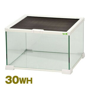 OX][ 30WH E24 SANKO(OW/TR[) ঒   IJhJ KXP[X 31×31×20cmTCY Ip JG wr