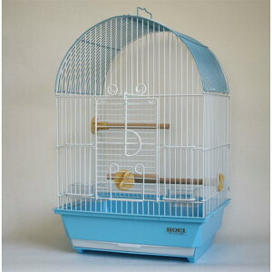  101A[`̂ pXeu[ HOEI(Lh/z[GC)