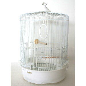  R440LL-P ۂ HOEI(Lh/z[GC)