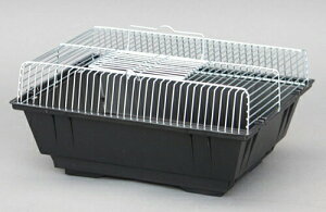 v`L[ GB(W[r[)  nX^[ Ɩp P[W ybgL[ P[W