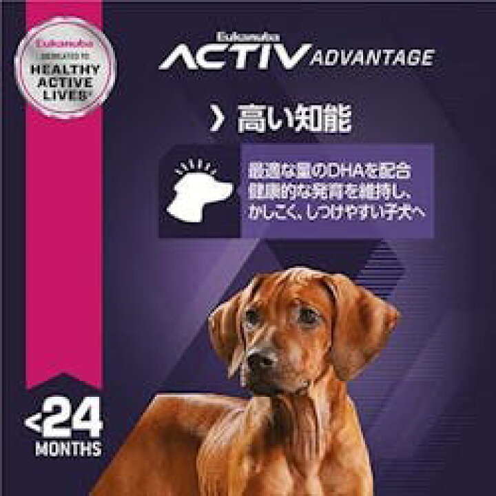 楽天市場】ユーカヌバ ラージ パピー 15kg 子犬用 大型犬用 〜24ヶ月 