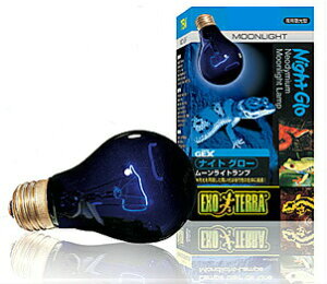 iCgO[ [Cgv 75W PT2130 GEX(WFbNX) ঒   M  s Cg d wr gJQ  J