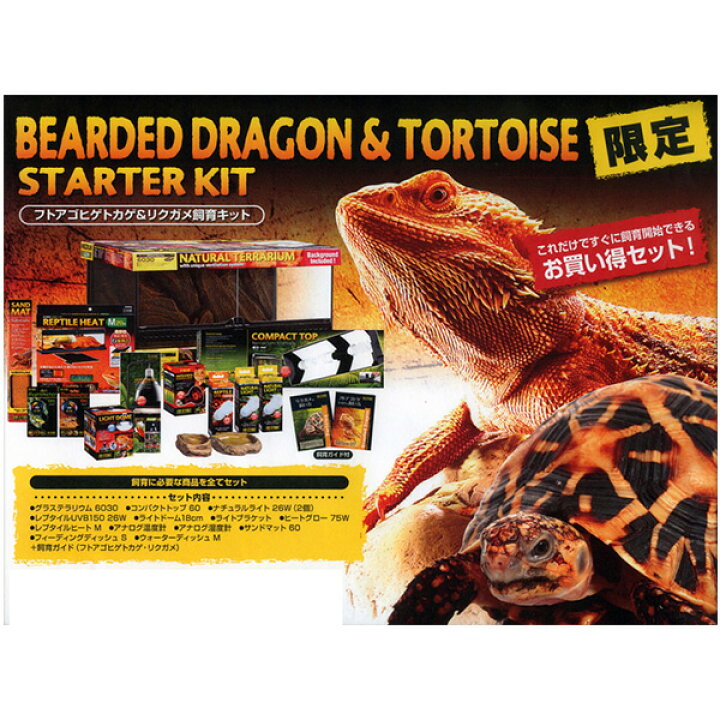 楽天市場】フトアゴヒゲトカゲ&リクガメ飼育キット GEX(ジェックス  