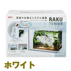 ジェックス 水槽 ラクテリアの人気商品 通販 価格比較 価格 Com ジェックス 水槽 ラクテリアの人気商品 通販 価格比較 価格 Com