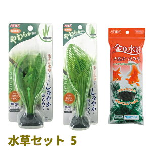 水草セットの人気商品 通販 価格比較 価格 Com