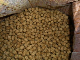 トータスダイエット 業務用 11.34kg 5M21 Mazuri(マズリ)