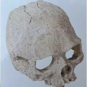 XJ yBH3z঒ VF^[ m[uh oNi@VF^[