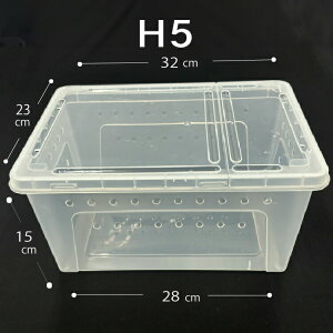 ঒��� ���� ������ �v���P�[�X �m�[�u�����h �o���N�i