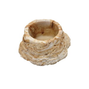 veB{E2 mini Xh[ ঒  GTM  H wr Ip JG ݏ