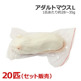 冷凍 アダルトマウス Lサイズ 20匹